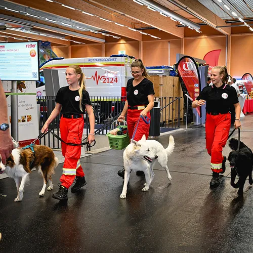 Retter23_Messegeschehen_Qu_MesseWels (29).jpg